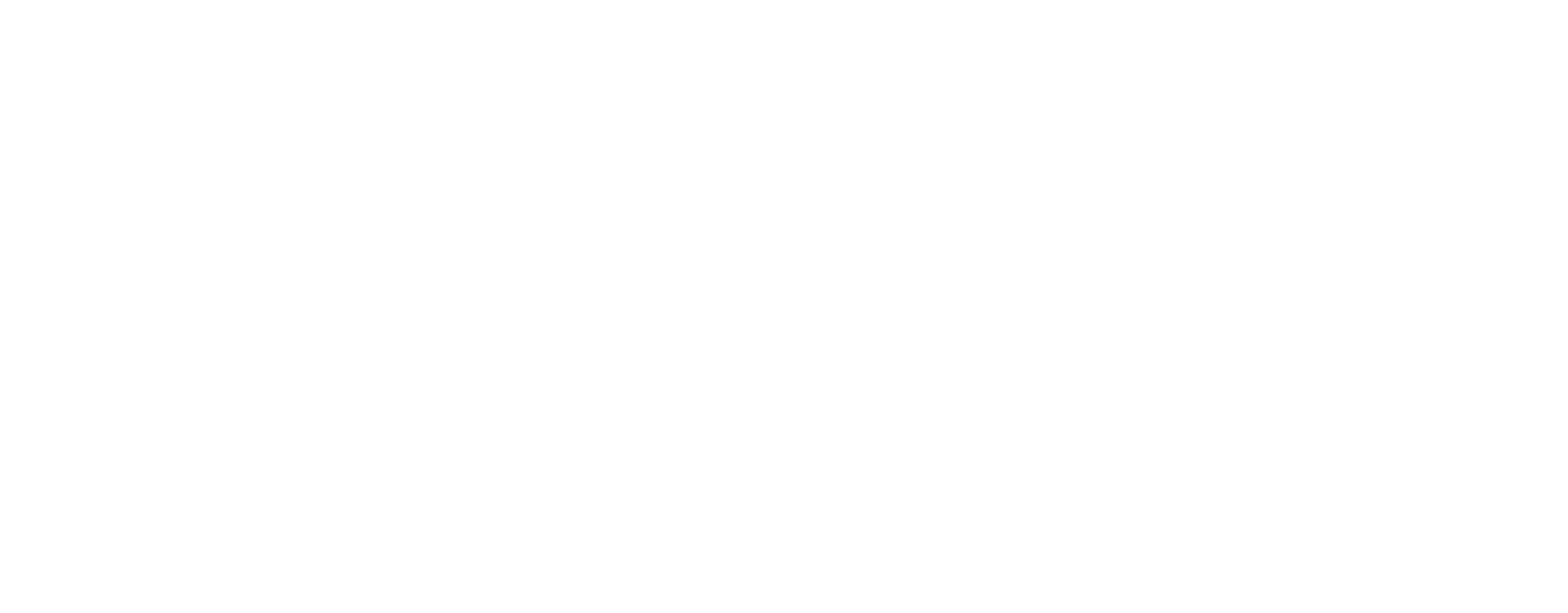 The Image Experience