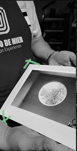 Fotograma 4 de la tira: la impresión en papel